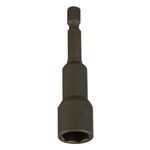 MN716300_1.jpg